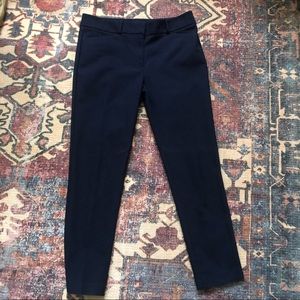 Loft Marisa Skinny Pants Size 8
